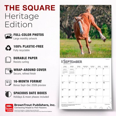 2027 BrownTrout Clydesdales 12" x 12" Monthly Wall Calendar (9798330711963)