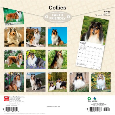 2027 BrownTrout Collies 12 x 12 Monthly Wall Calendar (9798330712373)