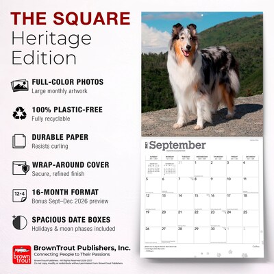 2027 BrownTrout Collies 12" x 12" Monthly Wall Calendar (9798330712373)
