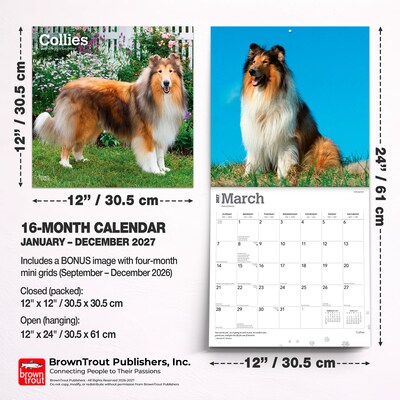 2027 BrownTrout Collies 12" x 12" Monthly Wall Calendar (9798330712373)
