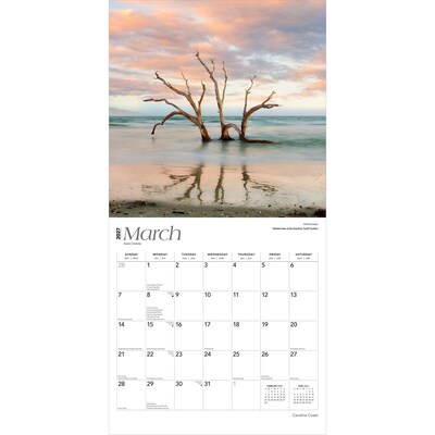 2027 BrownTrout Carolina Coast 12" x 12" Monthly Wall Calendar (9798330710454)