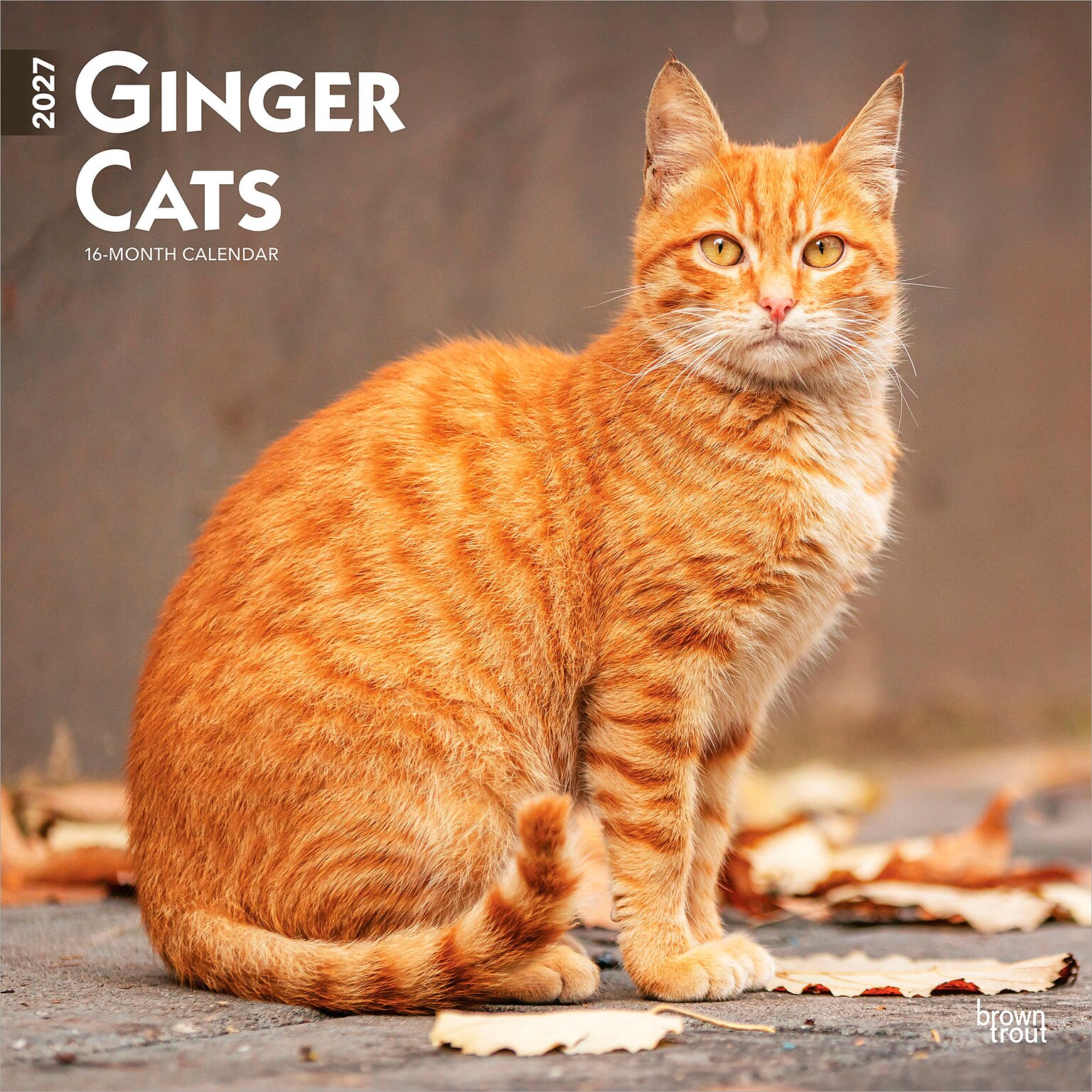 2027 BrownTrout Ginger Cats 12 x 12 Monthly Wall Calendar (9798330711789)