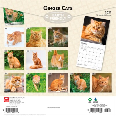 2027 BrownTrout Ginger Cats 12 x 12 Monthly Wall Calendar (9798330711789)
