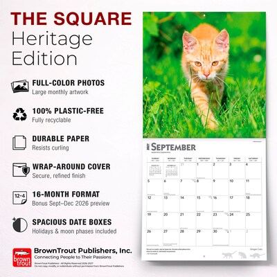 2027 BrownTrout Ginger Cats 12" x 12" Monthly Wall Calendar (9798330711789)