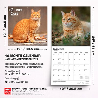 2027 BrownTrout Ginger Cats 12" x 12" Monthly Wall Calendar (9798330711789)