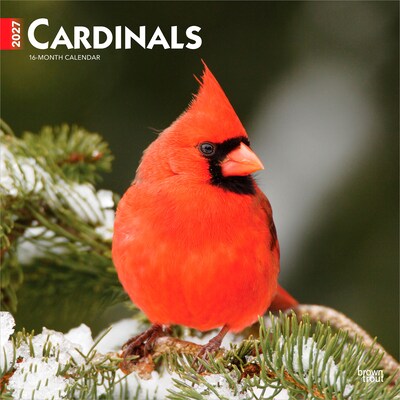 2027 BrownTrout Cardinals 12 x 12 Monthly Wall Calendar (9798330712038)
