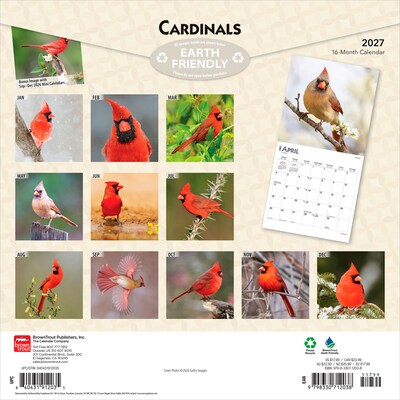 2027 BrownTrout Cardinals 12 x 12 Monthly Wall Calendar (9798330712038)