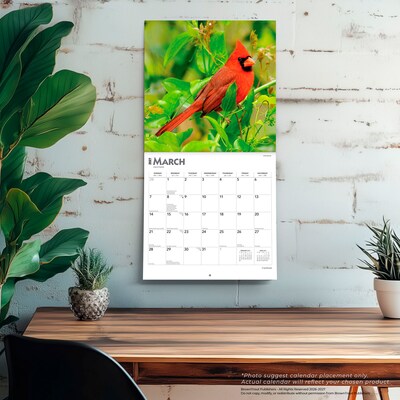 2027 BrownTrout Cardinals 12" x 12" Monthly Wall Calendar (9798330712038)