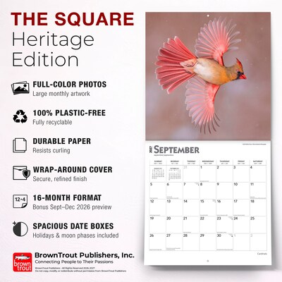 2027 BrownTrout Cardinals 12" x 12" Monthly Wall Calendar (9798330712038)