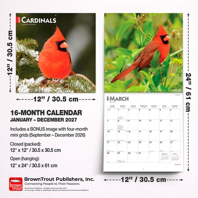 2027 BrownTrout Cardinals 12" x 12" Monthly Wall Calendar (9798330712038)