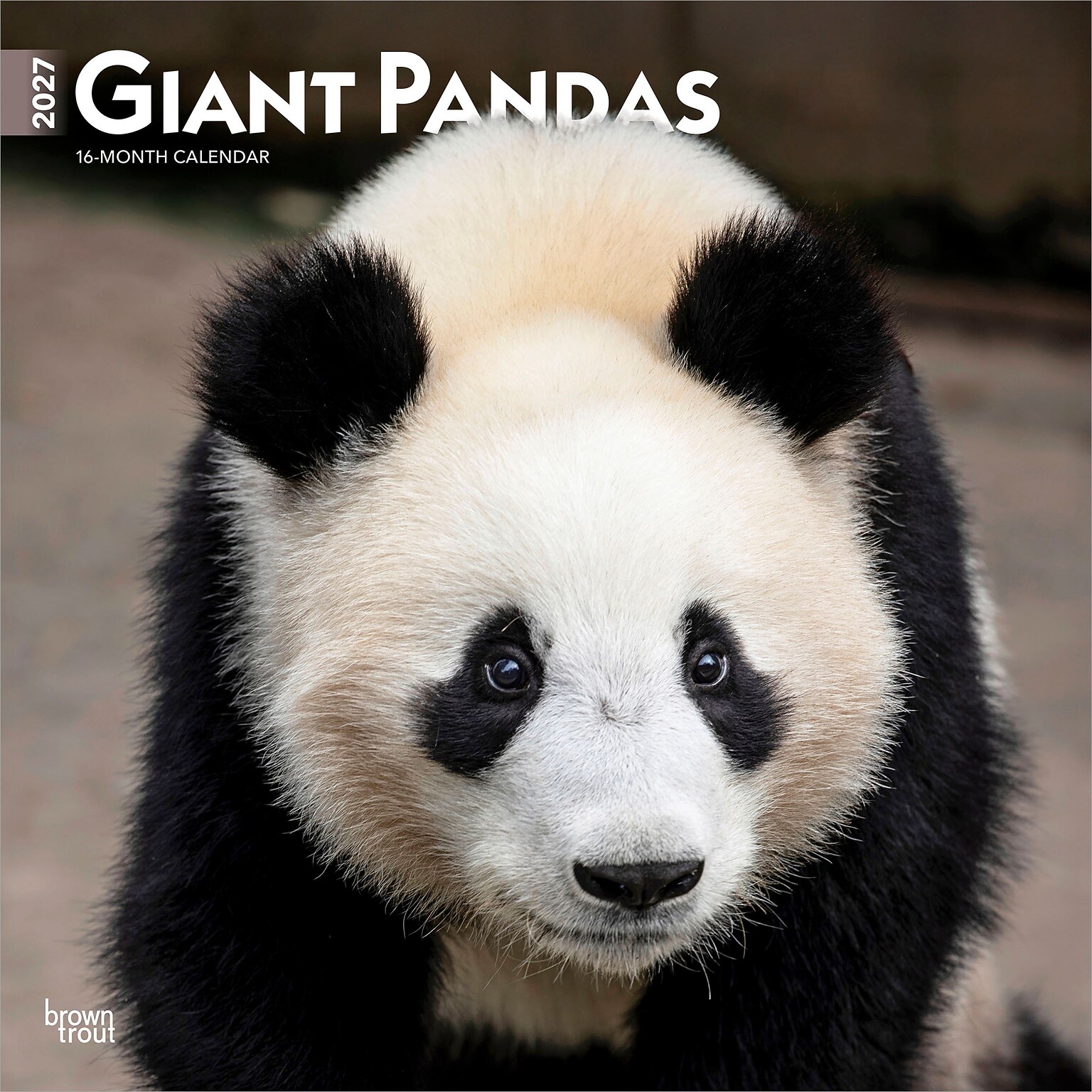 2027 BrownTrout Giant Pandas 12 x 12 Monthly Wall Calendar (9798330712045)