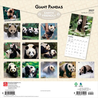 2027 BrownTrout Giant Pandas 12 x 12 Monthly Wall Calendar (9798330712045)