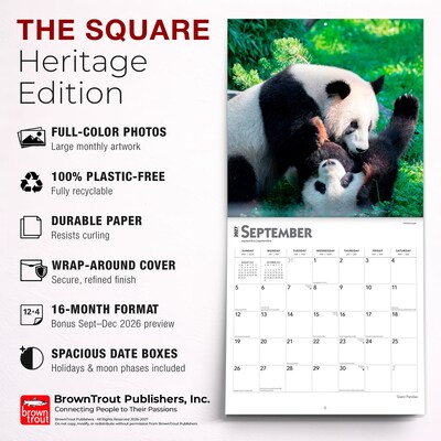 2027 BrownTrout Giant Pandas 12" x 12" Monthly Wall Calendar (9798330712045)