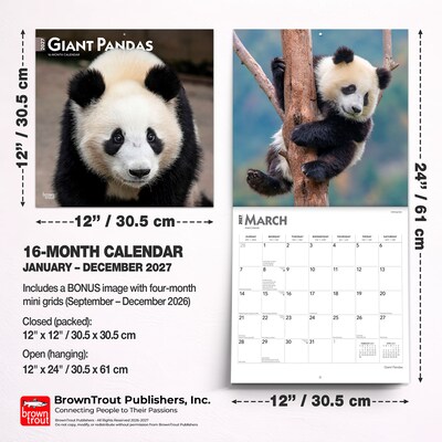 2027 BrownTrout Giant Pandas 12" x 12" Monthly Wall Calendar (9798330712045)