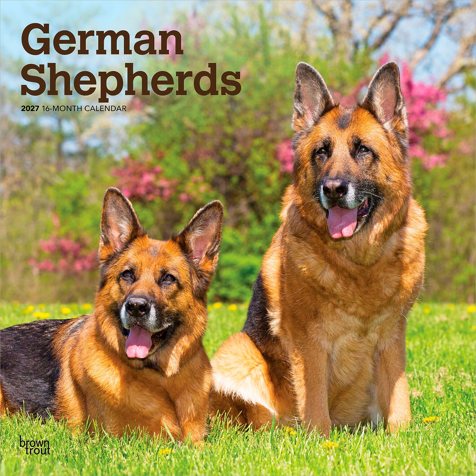 2027 BrownTrout German Shepherds 12 x 12 Monthly Wall Calendar (9798330712441)