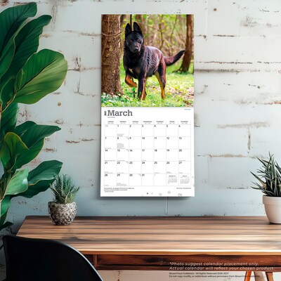 2027 BrownTrout German Shepherds 12" x 12" Monthly Wall Calendar (9798330712441)