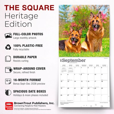 2027 BrownTrout German Shepherds 12" x 12" Monthly Wall Calendar (9798330712441)