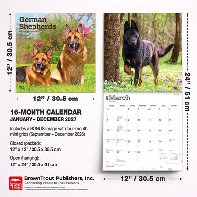 2027 BrownTrout German Shepherds 12" x 12" Monthly Wall Calendar (9798330712441)