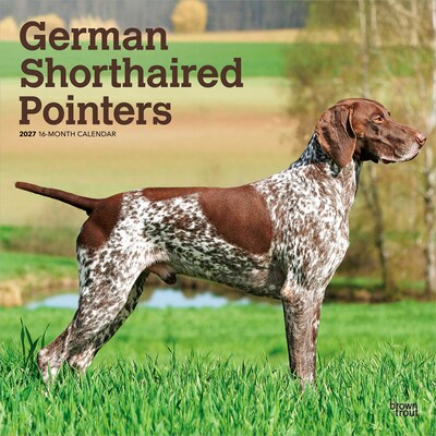 2027 BrownTrout German Shorthaired Pointers 12 x 12 Monthly Wall Calendar (9798330712458)
