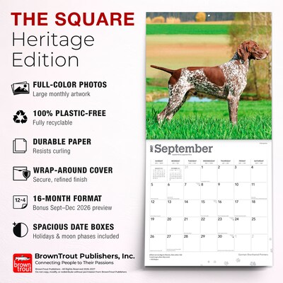 2027 BrownTrout German Shorthaired Pointers 12" x 12" Monthly Wall Calendar (9798330712458)