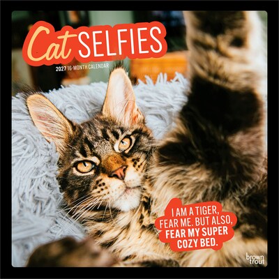 2027 BrownTrout Cat Selfies 12 x 12 Monthly Wall Calendar (9798330711383)