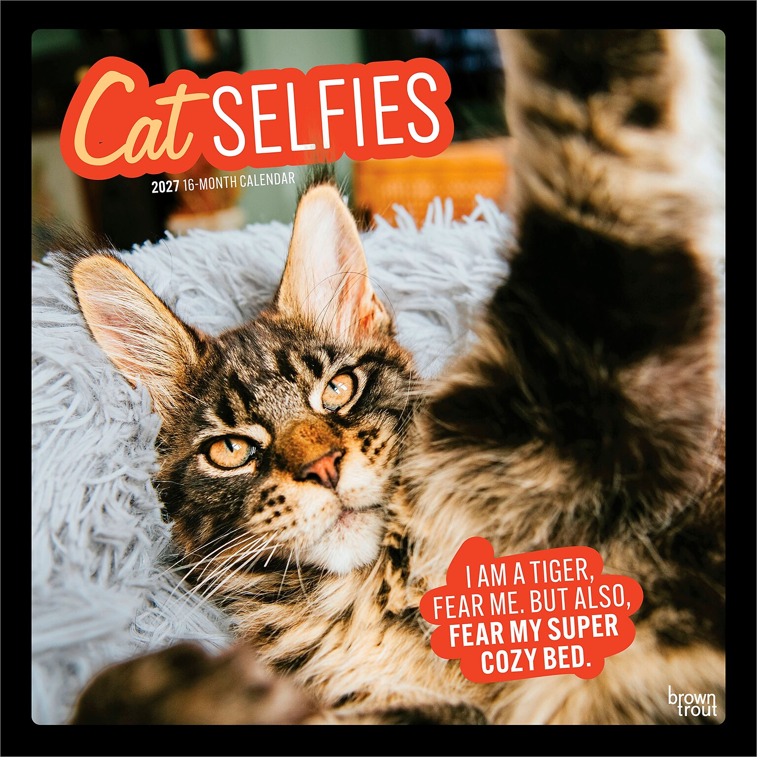 2027 BrownTrout Cat Selfies 12 x 12 Monthly Wall Calendar (9798330711383)