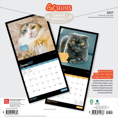 2027 BrownTrout Cat Selfies 12 x 12 Monthly Wall Calendar (9798330711383)
