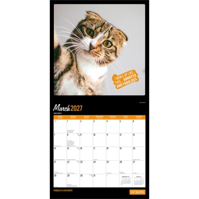 2027 BrownTrout Cat Selfies 12" x 12" Monthly Wall Calendar (9798330711383)