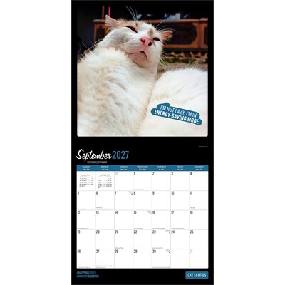 2027 BrownTrout Cat Selfies 12" x 12" Monthly Wall Calendar (9798330711383)