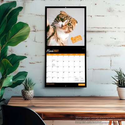 2027 BrownTrout Cat Selfies 12" x 12" Monthly Wall Calendar (9798330711383)