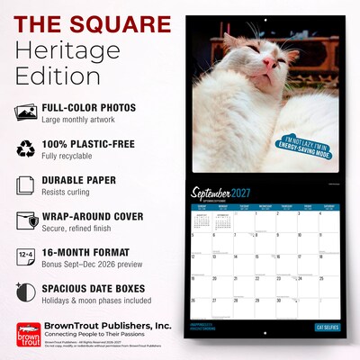 2027 BrownTrout Cat Selfies 12" x 12" Monthly Wall Calendar (9798330711383)