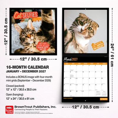 2027 BrownTrout Cat Selfies 12" x 12" Monthly Wall Calendar (9798330711383)