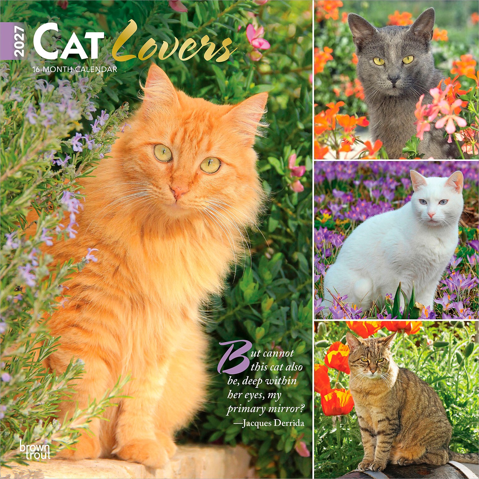 2027 BrownTrout Cat Lovers 12 x 12 Monthly Wall Calendar (9798330711772)