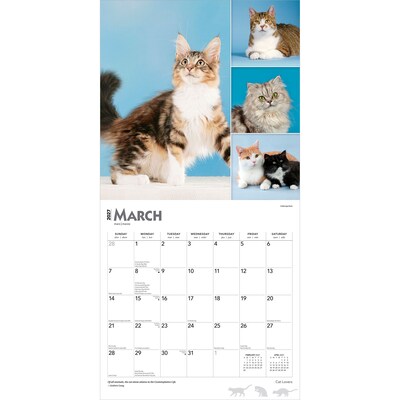 2027 BrownTrout Cat Lovers 12" x 12" Monthly Wall Calendar (9798330711772)