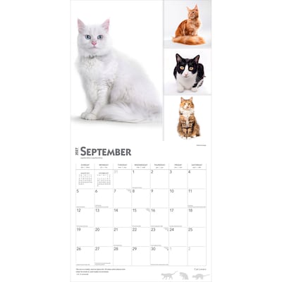 2027 BrownTrout Cat Lovers 12" x 12" Monthly Wall Calendar (9798330711772)