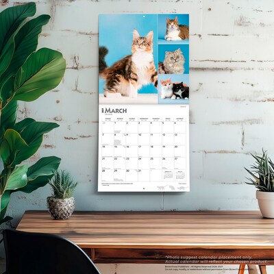 2027 BrownTrout Cat Lovers 12" x 12" Monthly Wall Calendar (9798330711772)