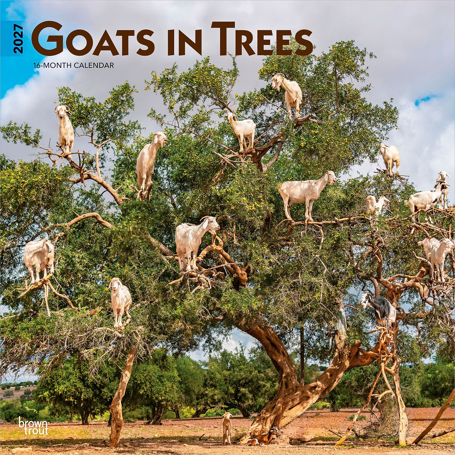 2027 BrownTrout Goats in Trees 12 x 12 Monthly Wall Calendar (9798330712052)
