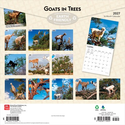 2027 BrownTrout Goats in Trees 12 x 12 Monthly Wall Calendar (9798330712052)