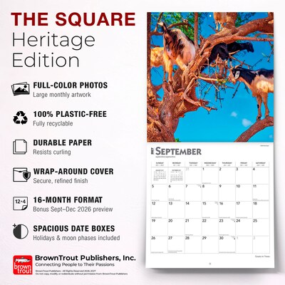 2027 BrownTrout Goats in Trees 12" x 12" Monthly Wall Calendar (9798330712052)