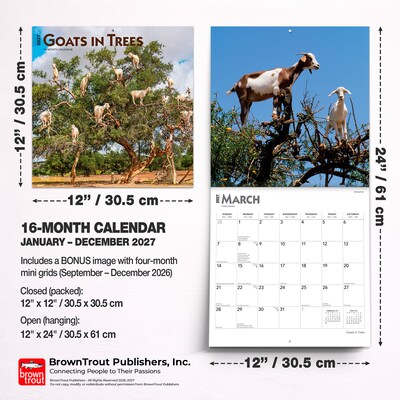2027 BrownTrout Goats in Trees 12" x 12" Monthly Wall Calendar (9798330712052)