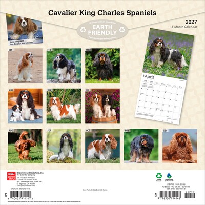 2027 BrownTrout Cavalier King Charles Spaniels 12 x 12 Monthly Wall Calendar (9798330714148)