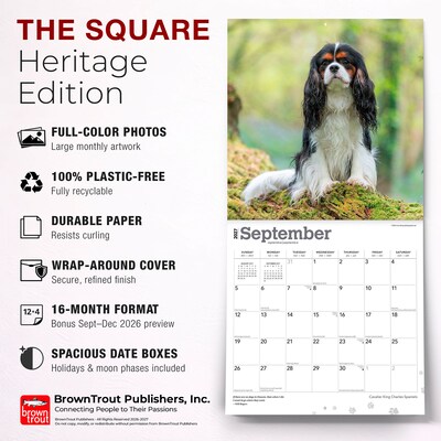 2027 BrownTrout Cavalier King Charles Spaniels 12" x 12" Monthly Wall Calendar (9798330714148)