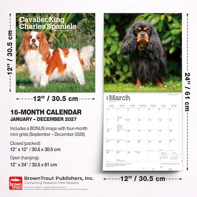 2027 BrownTrout Cavalier King Charles Spaniels 12" x 12" Monthly Wall Calendar (9798330714148)