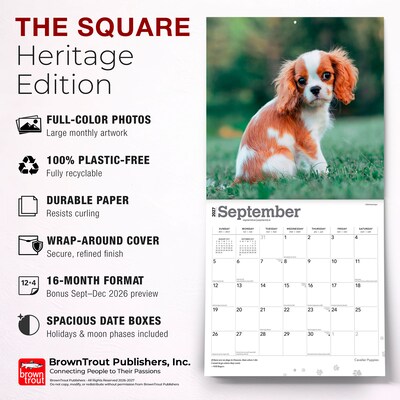 2027 BrownTrout Cavalier King Charles Spaniel Puppies 12" x 12" Monthly Wall Calendar (9798330714131)