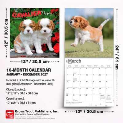 2027 BrownTrout Cavalier King Charles Spaniel Puppies 12" x 12" Monthly Wall Calendar (9798330714131)