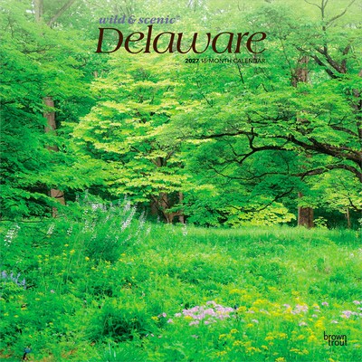 2027 BrownTrout Delaware Wild & Scenic 12 x 12 Monthly Wall Calendar (9798330714179)