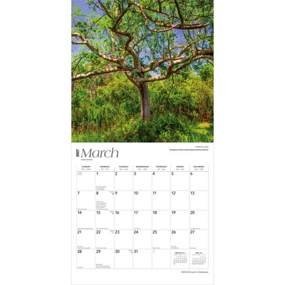 2027 BrownTrout Delaware Wild & Scenic 12" x 12" Monthly Wall Calendar (9798330714179)