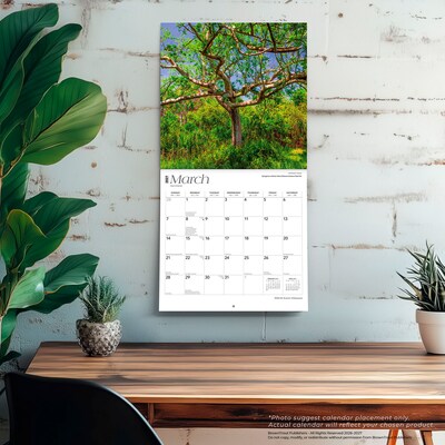 2027 BrownTrout Delaware Wild & Scenic 12" x 12" Monthly Wall Calendar (9798330714179)