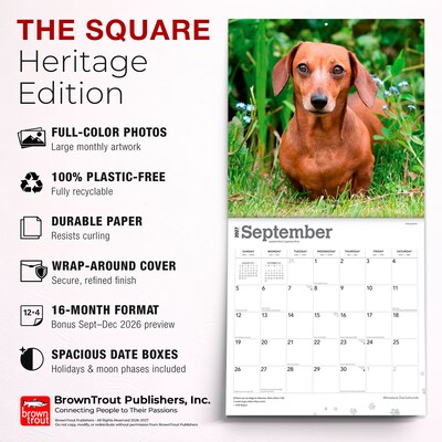2027 BrownTrout Miniature Dachshunds 12" x 12" Monthly Wall Calendar (9798330712403)