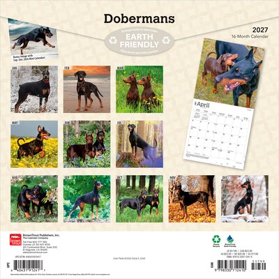 2027 BrownTrout Dobermans 12 x 12 Monthly Wall Calendar (9798330712410)